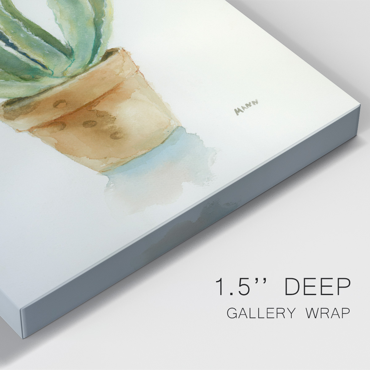 Succulent IV Premium Gallery Wrapped Canvas - Ready to Hang