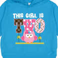 thumbnail image 3 of Inktastic 2nd Birthday Cute Owl 2 Year Old Toddler Hoodie, 3 of 4
