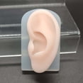 thumbnail image 4 of Human Modeling,human soft silicone model practical,display modeling tools apprentice , practice fake silicone piercing,display model 3d heads rubber torso Baoblaze none, 4 of 8
