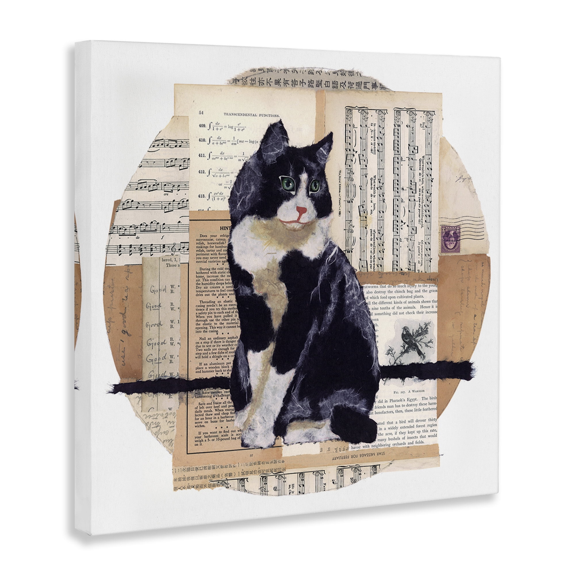 Stupell Industries Tuxedo Cat Collage Animals & Insects Painting Gallery Wrapped Canvas Art Print Wall Art, 24 x 24