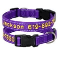 thumbnail image 2 of Didog Custom Personalized Dog Collar Embroidered Pet ID Name Number Reflective Nylon, 2 of 6