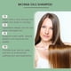 thumbnail image 3 of 1-3pcs Batana Oil Shampoo, Shampoo De Batana, Rosemary Oil Shampoo, 3 of 5