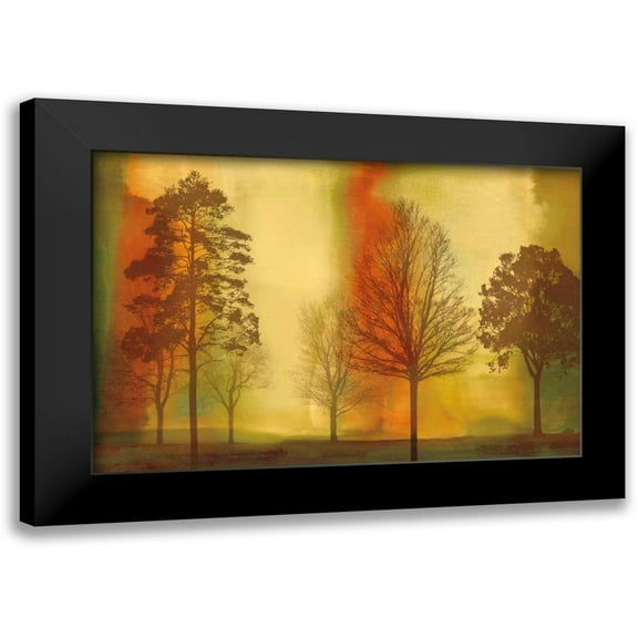 Donovan, Chris 14x11 Black Modern Framed Museum Art Print Titled - Sunset II