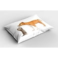 thumbnail image 2 of Ambesonne Dog Pillow Sham 2 Pack, Kitten and a Stafford Puppy, 26"x20", Oange Brown White, 2 of 3