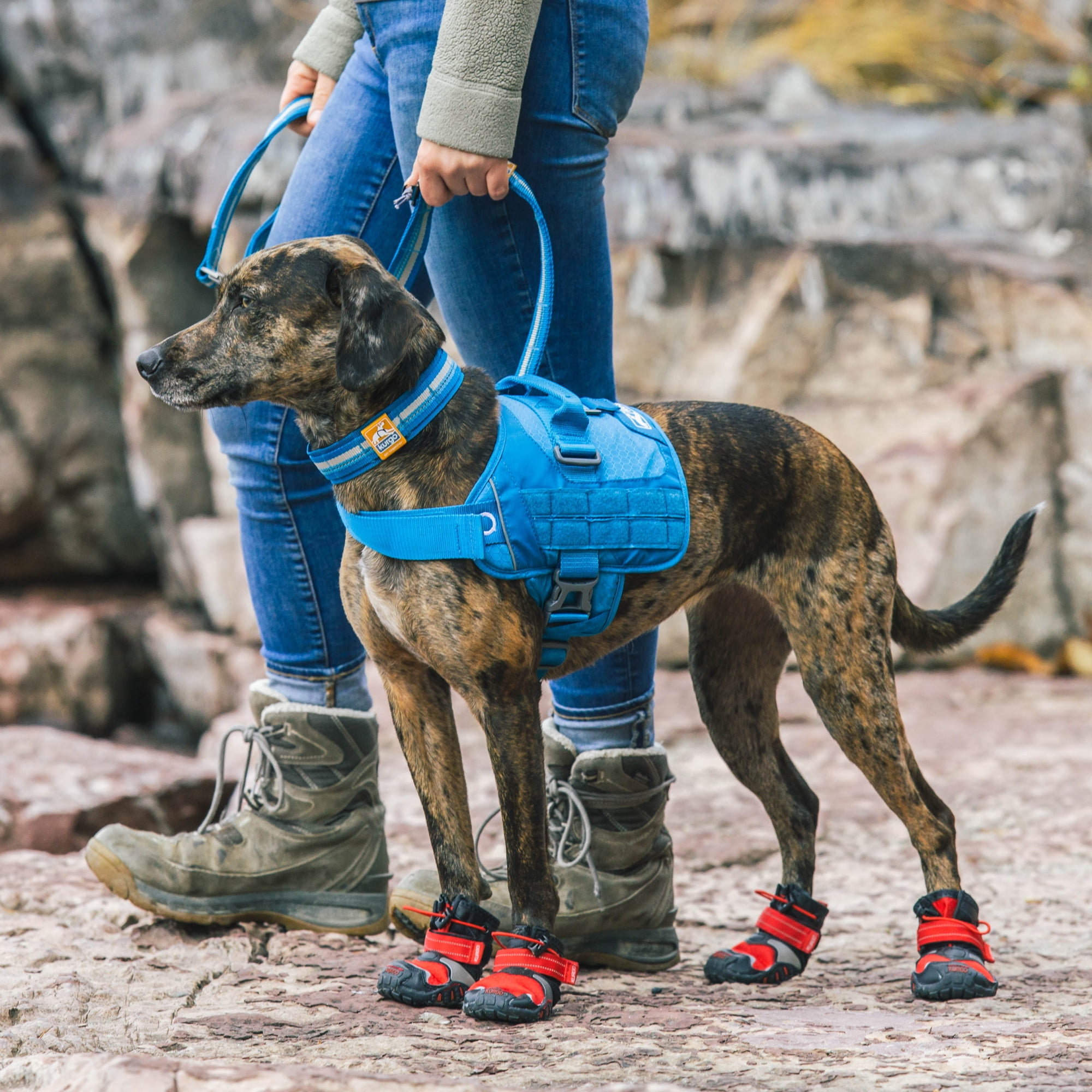 Kurgo Dog Harness, Vest for Dogs, Small, Coastal Blue