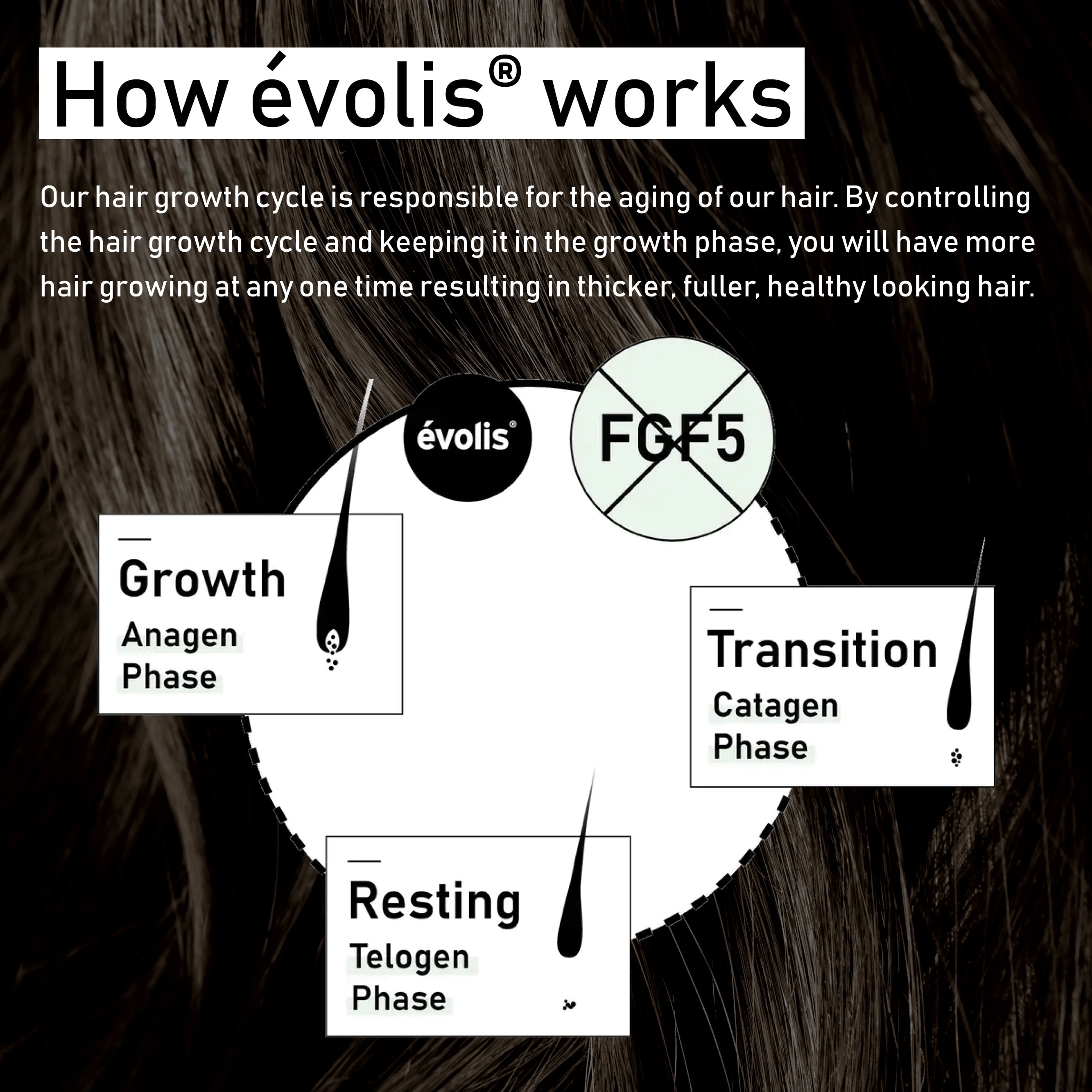 Evolis STYLE + TREAT Dry Shampoo
