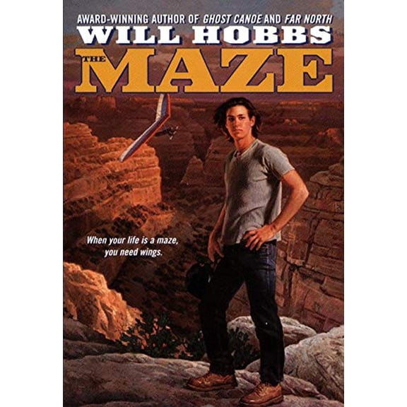 Pre-Owned The Maze (Paperback) 9780380729135