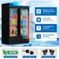 thumbnail image 3 of Commercial Merchandiser Refrigerator, Two Glass Door, 40 cu.ft, Upright Display Beverage Cooler, 3 of 8