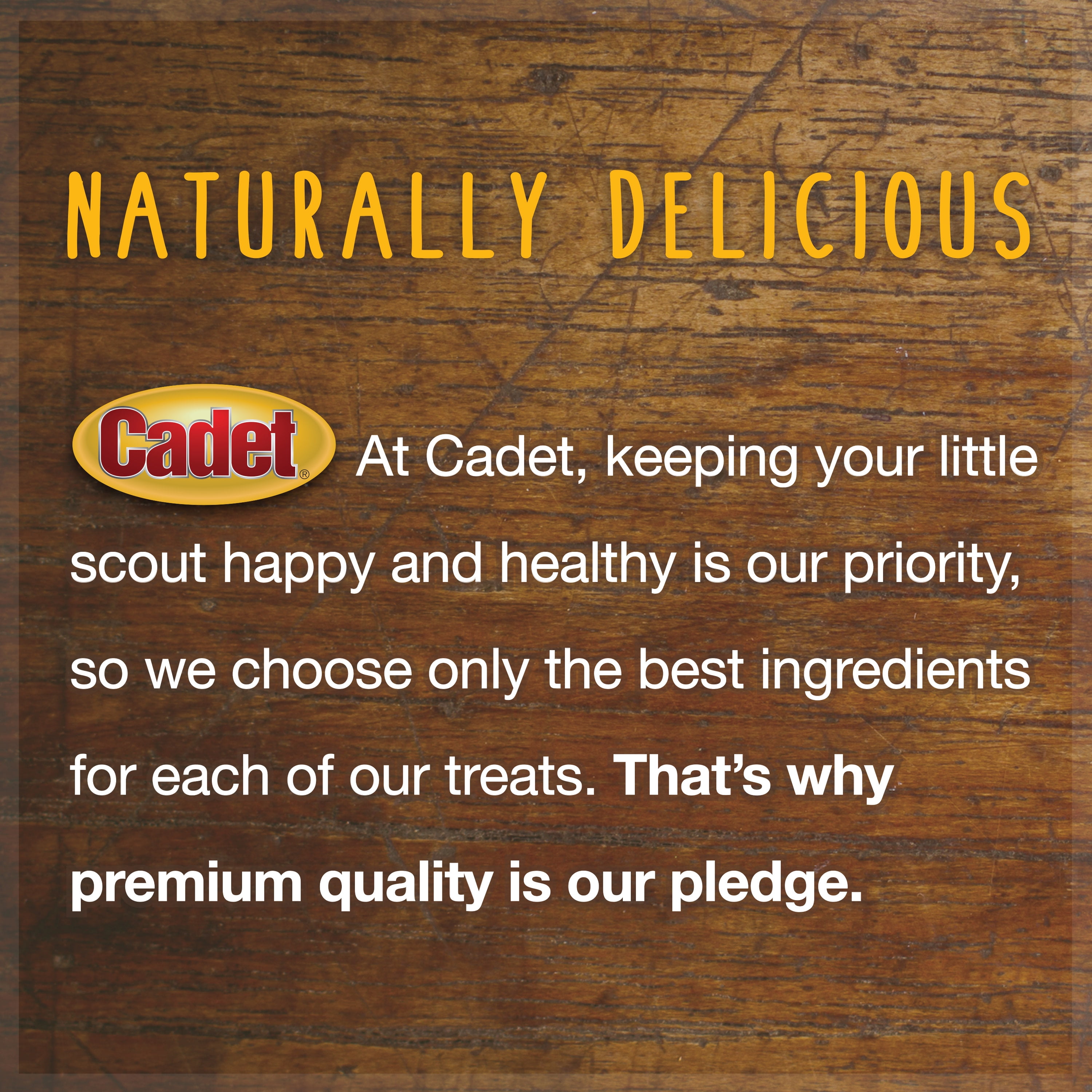 Cadet Sweet Potato Fries Dog Treats, 2 lb