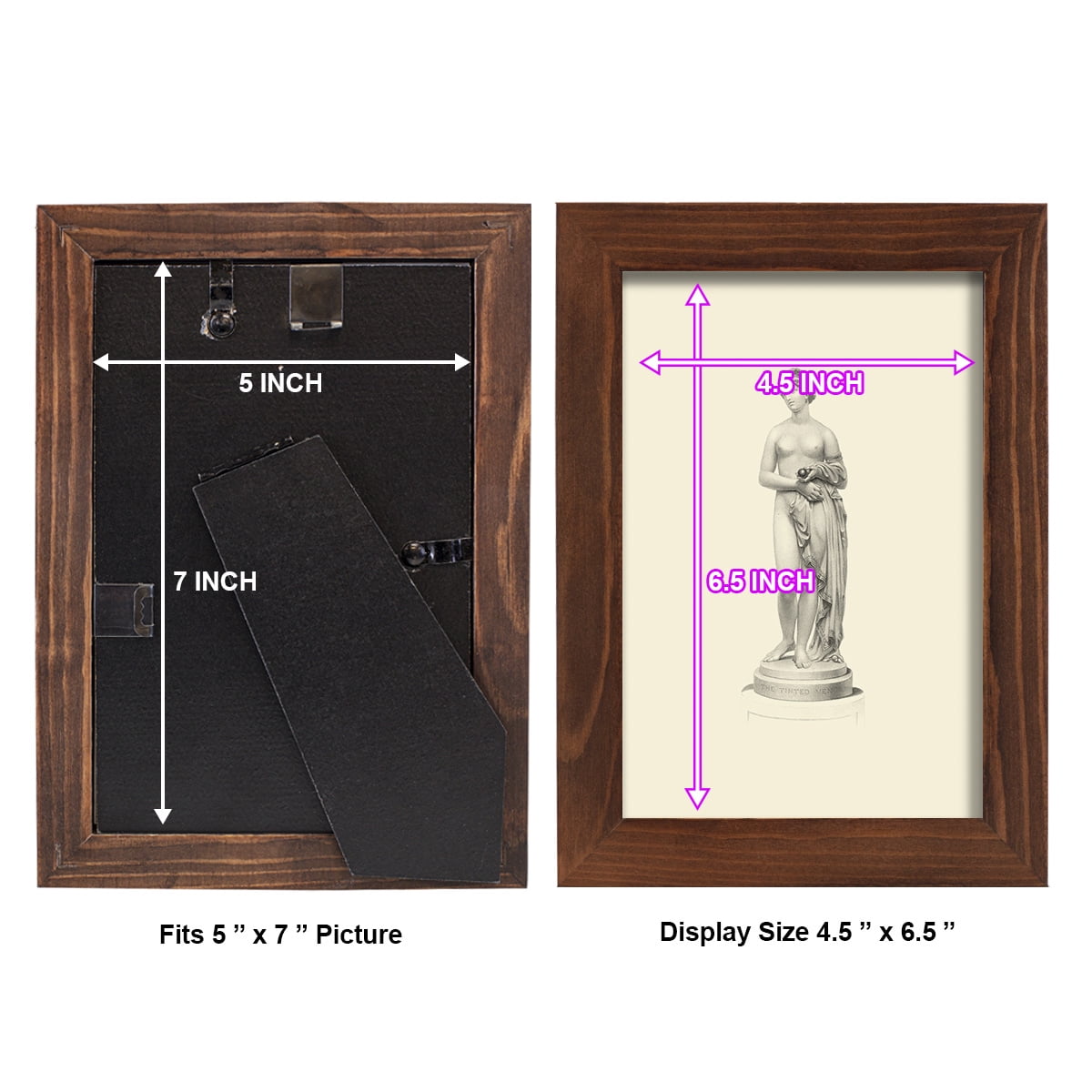 Classical Statuary I -Framed Print w/glass-Chestnut