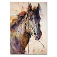 thumbnail image 3 of Day Dream DCBS1420 14 x 20 in. Black Stallion Wall Art, 3 of 3