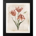 thumbnail image 2 of Pertiet, Katie 12x14 Black Modern Framed Museum Art Print Titled - Antiquarian Blooms III, 2 of 5