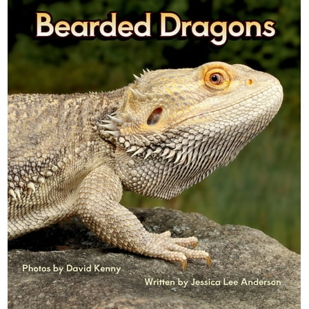 Junior Animal Explorers Bearded Dragons, (Hardcover)