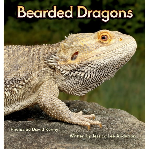 Junior Animal Explorers Bearded Dragons, (Hardcover)