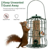 Bird Feeder Feed Seed, Outdoor Hanging Bird Feeder Cage with 4 Perches, Small Birds Sunflower, Squirrel Proof