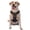 With Accessories, variant on Vsdgher Garden Meditating Weasel Pattern Dog Harness,No Pull Pet Harness with Soft Padded Handle,Adjustable Reflective Vest with 2 Buckles,4 Slide Buckles,S-XL