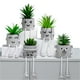 thumbnail image 2 of Cateissary Planta en maceta pequeña suculenta simulada: maceta de cemento con textura realista y las plantas artificiales están hechas grimace02 Type2 NO2, 2 of 6