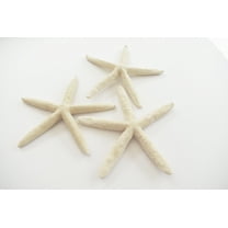 3 White Finger Starfish 5-6" Beach Wedding Nautical Decor Crafts Coastal Arts
