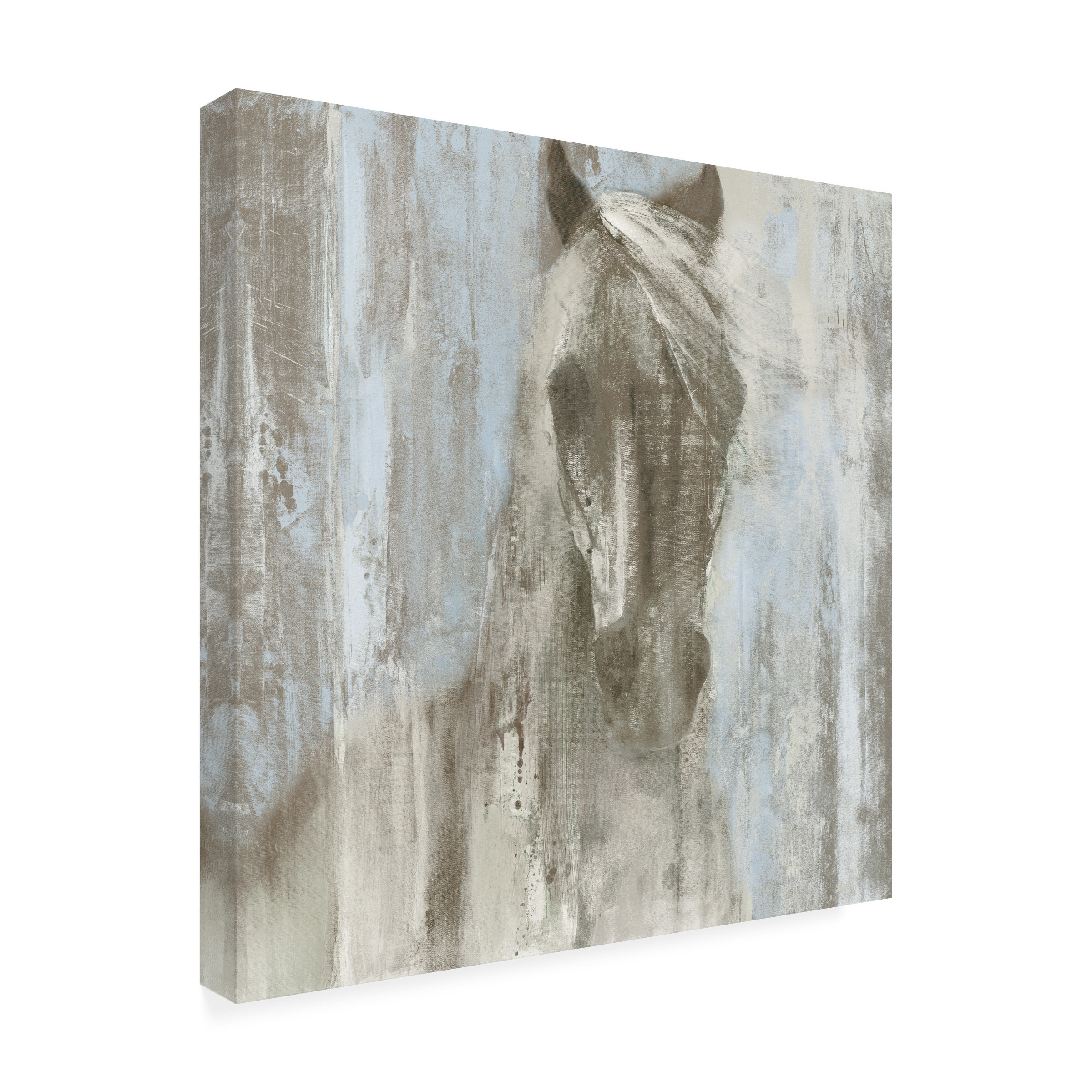 Trademark Fine Art 'Shadow Light V.2 On Blue' Canvas Art by Albena Hristova