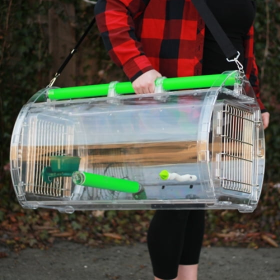 caitec perch n go polycarbonate bird carrier