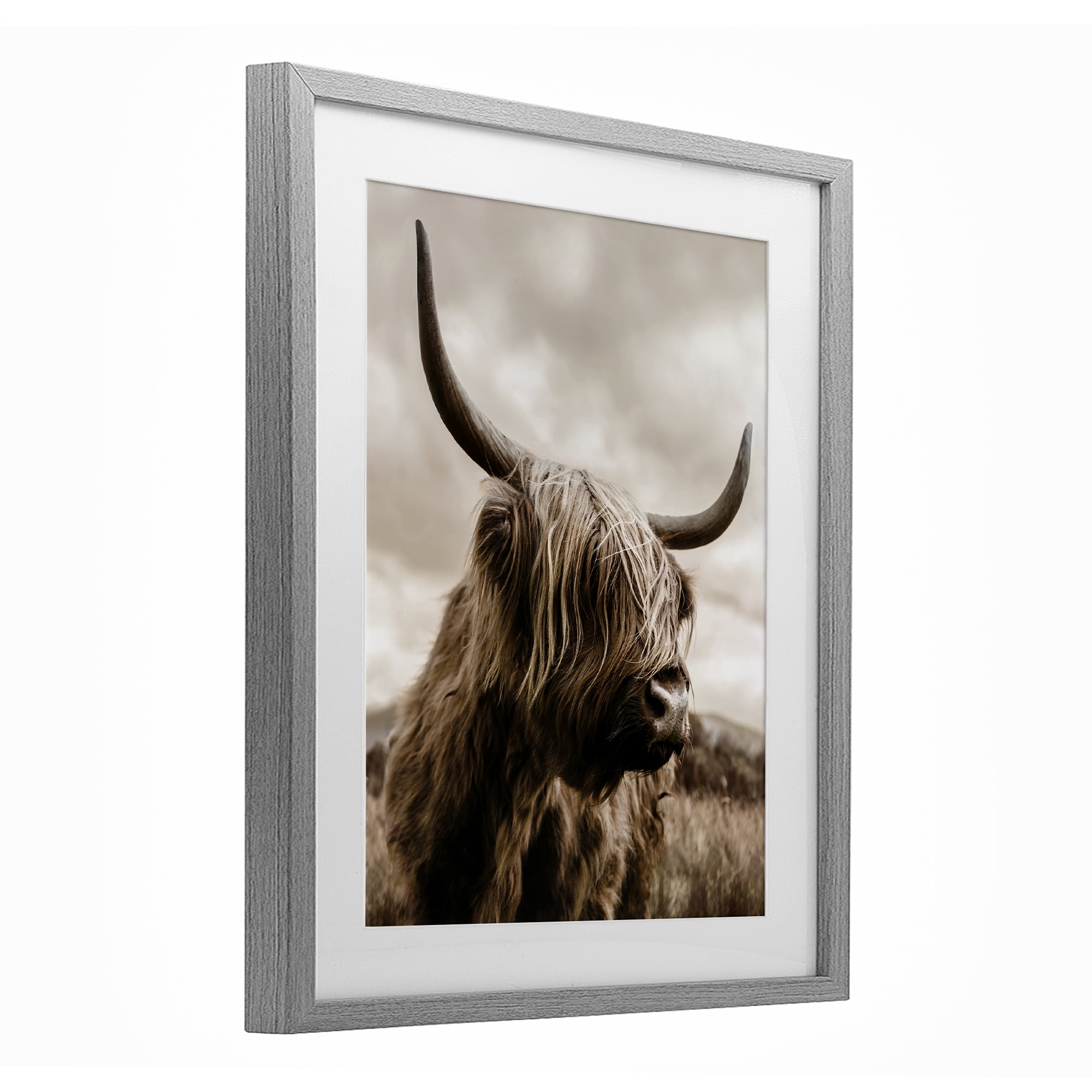 Stupell Industries Highland Cow on Windswept Moor Gray Framed Print Under Glass, design by CAD Designs
