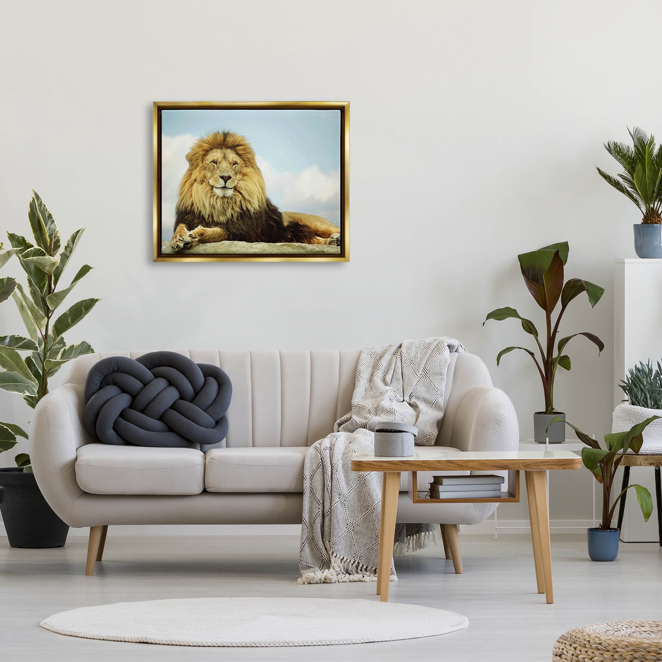 Stupell Industries Savanna Lion Photography Portrait Photograph Metallic Gold Floating Framed Canvas Print Wall Art, Design by Carrie Ann Grippo-Pike