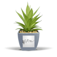 thumbnail image 1 of Flappg Pot de Fleurs Ananas Art Déco Mode 5-le String Mini Décor, 1 of 3