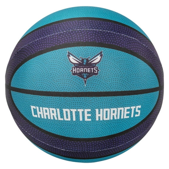 Uncanny Brands Charlotte Hornets Silent Basketball