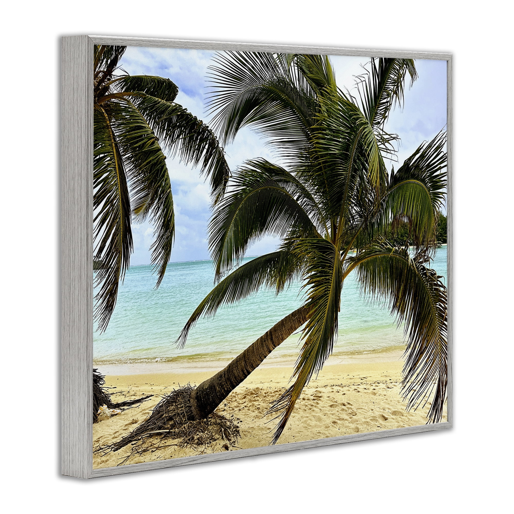 Stupell Industries Leaning Palms on Beach Landscape Photography Gray Framed Art Print Wall Art, 20 x 16