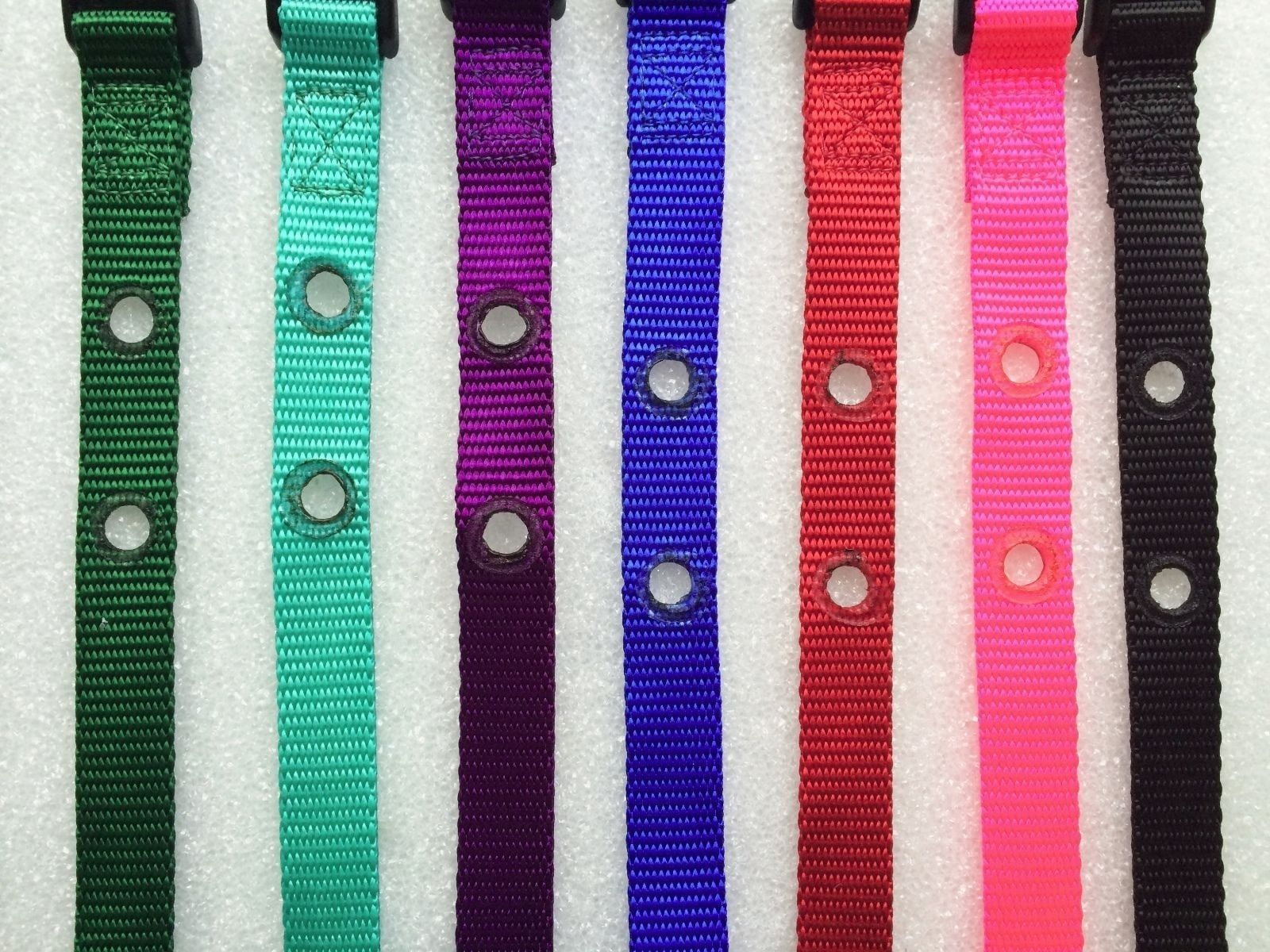 petco invisible fence