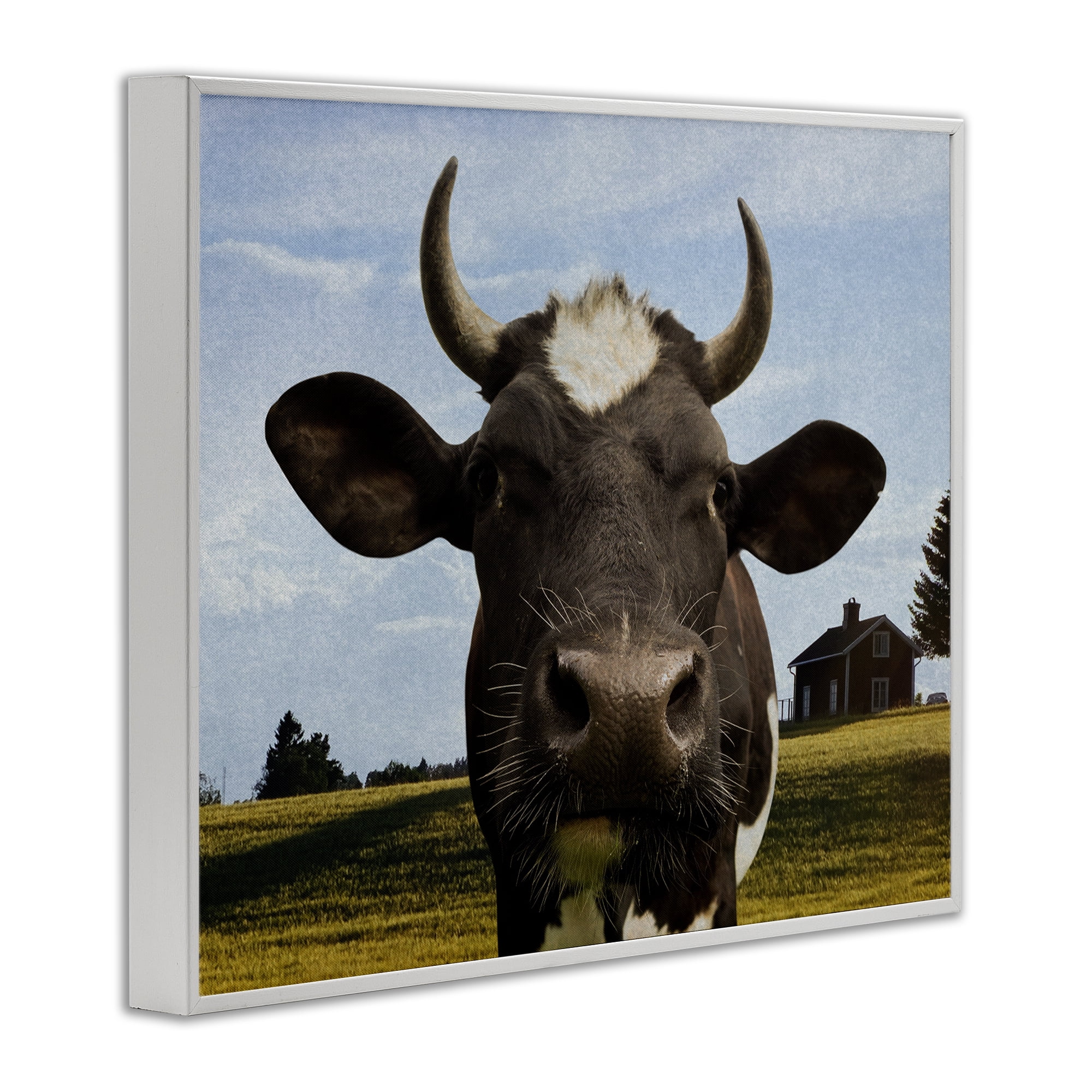 Stupell Industries Farm Cow with Curved Horns White Framed Giclee Art, design by Marcus Prime