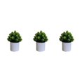 thumbnail image 4 of Bearachild 4 paquetes/lote fácil de limpiar planta falsa solución de bajo mantenimiento para plantas artificiales de interior hoja Bonsai tuerca Type1 NO1, 4 of 6