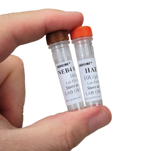 Haeiii Enzyme, 40 L (400 Units)