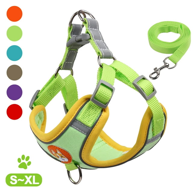 Puppy Harness - Small Dog Harness and Leash Set, Adjustable & Comfortable Padded Reflective Vest for Puppies and Small Breeds Dogs Walking ( Green,M )