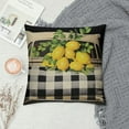 thumbnail image 2 of ARISTURING  Buffalo Plaid Lemon Throw Pillow Covers Home Sweet Home Decorative Pillow Cases Black Truck Lemon Fruits Cushion Cover Outdoor Pillowcase for Sofa, 2 of 5