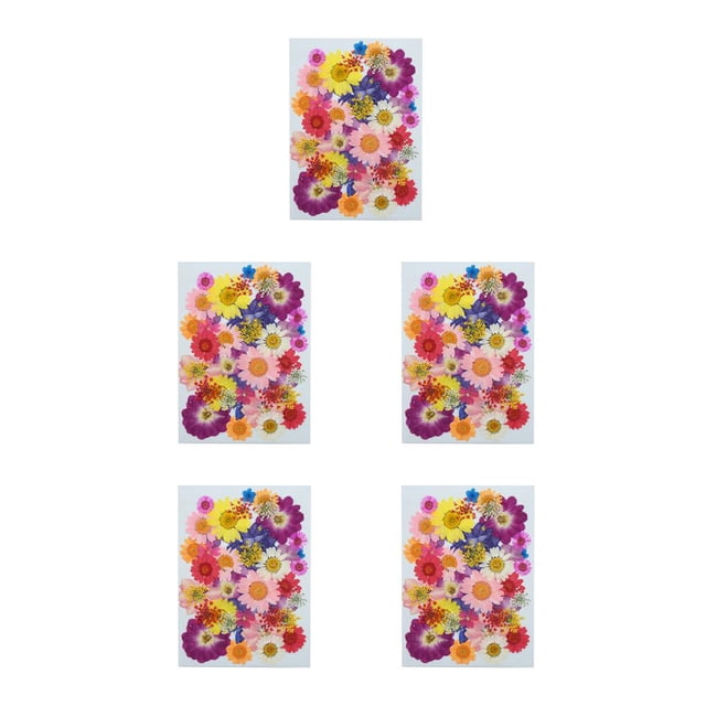 Ramos de flores secas naturales Inteprter Adorno de joyería colorido