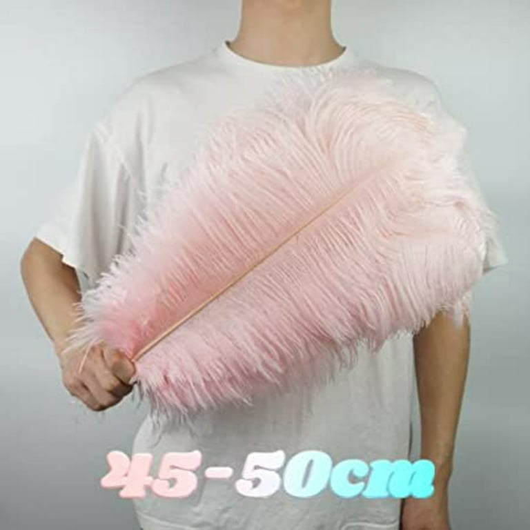 Ostrich Feather Fans  Dyed Costume Feathers