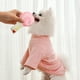 thumbnail image 4 of Fiudx Liquidación de ahorros de verano El juguete interactivo para masticar mascotas para perros y gatos fomenta el juego y el cuidado bucal con un diseño robusto adecuado para uso en interiores, 4 of 6