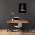 thumbnail image 4 of Koetsier, Albert 19x24 Black Modern Framed Museum Art Print Titled - Sea Fan and Sand Dollar on Black, 4 of 5