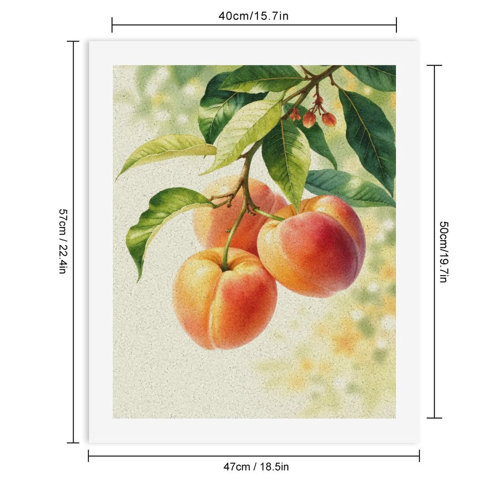 Paint By Numbers Kit for Adults Beginner - DIY Fruit Branch Leaves Natural Art Canvas Painting Kits for Adults, Frameless Paint By Number for Adults for Home Wall Decor 16x20 Inch