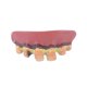thumbnail image 1 of Bristol Novelty - Dentadura Falsa Goofy (Rojo, Blanco), 1 of 2