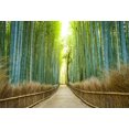thumbnail image 3 of EREHome Polyester Fabric Bamboo Grove Backdrop 7x5ft Photography Background Alley Green Trees Plants Nature Landscape Video Studio Photos Props, 3 of 3