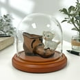 thumbnail image 2 of Plymor 4" x 4" Glass Display Dome Cloche (Walnut MDF Base), 2 of 3