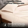 thumbnail image 3 of Superior Egyptian Cotton 400 Thread Count Pillowcases, Set of 2, King, Pink, 3 of 4