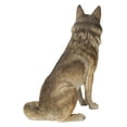 thumbnail image 6 of SITTING COYATE STATUE, 6 of 7