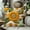 7#, variant on CaiYueKe Thanksgiving Pillow Covers Fall Pumpkin Sunflower Decorative Pillow Cases Soft Cotton Home Decor Throw Pillow Cushion Cover Autumn Harvest Seasonal Decorations 18x18 Inches