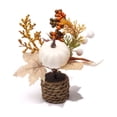 thumbnail image 2 of Hometravel Thanksgiving Mini Potted Maple Leaf Pumpkin, Artificial Fall Greenery Desktop Decor, Simulation Plant for Indoor Shelf Window Display, 2 of 7