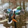thumbnail image 4 of MOJO Outdoors Spoonzilla Shoveler Duck Motion Decoy with Spinning Wings and Pole, 4 of 8