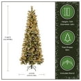 thumbnail image 4 of National Tree Company 7.5 ft. Pre-Lit Artificial Glittery Bristle® Pine Slim Christmas Tree, Green, Pinecones, 500 Clear Lights, Includes Stand, 4 of 8