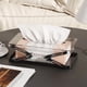 thumbnail image 1 of Caja de pañuelos con resorte y tapa abatible | Dispensador automático de pañuelos para sala de estar, dormitorio y comedor | Soporte para pañuelos doméstico con diseño que ahorra espacio, 1 of 1